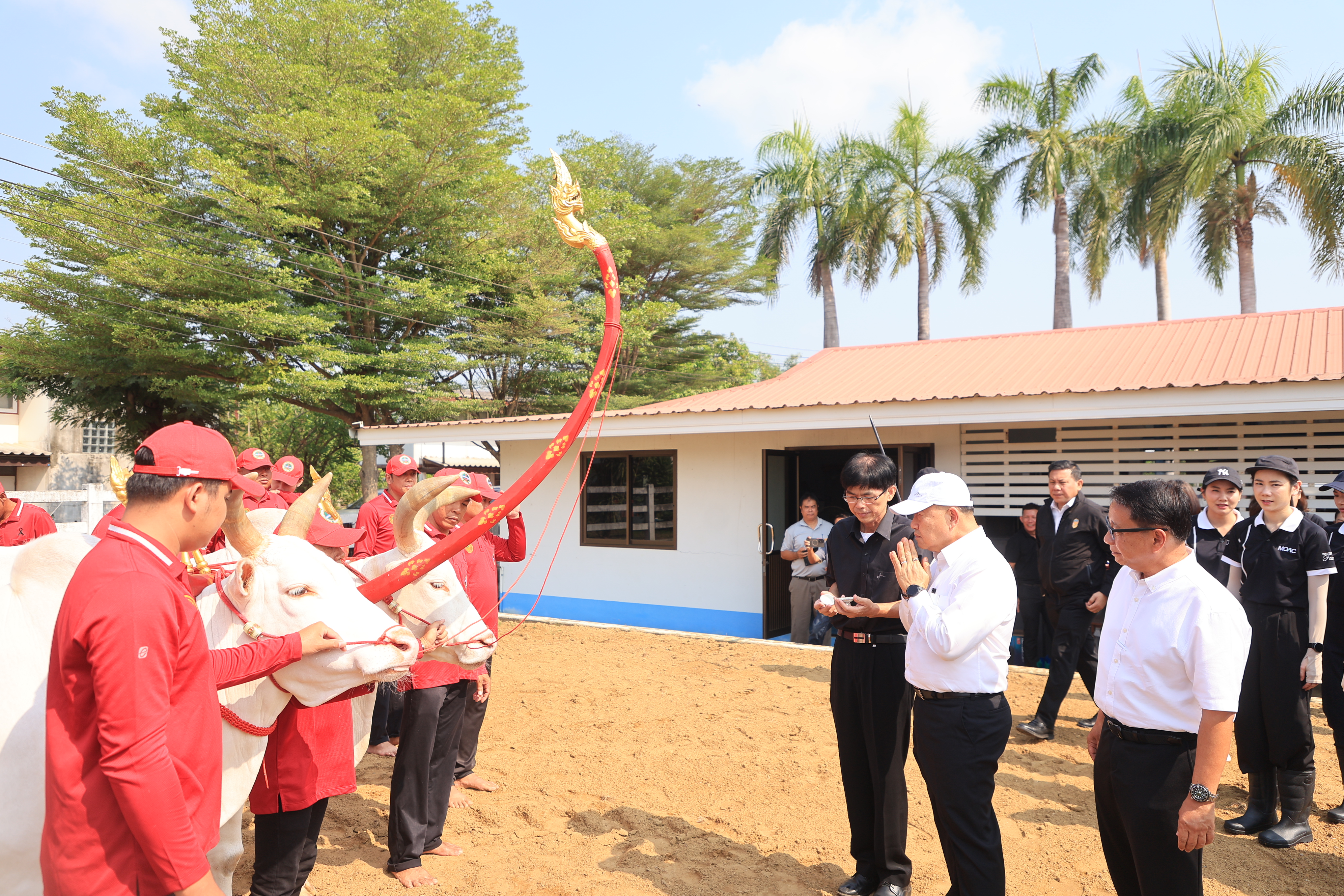 title - ส.ป.ก. เข้าร่วมการตรวจเยี่ยมการจัดเตรียมพระโค ในงานพระราชพิธีพืชมงคลจรดพระนังคัลแรกนาขวัญ ประจำปี 2569